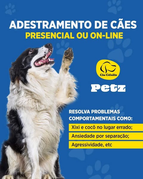 The ad promotes dog training classes, either in-person or online, to solve common behavioral issues.