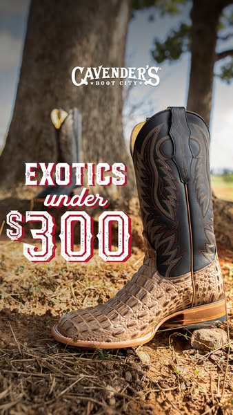 This image ad by Cavender's Boot City showcases a pair of exotic leather cowboy boots available for under $300. The 