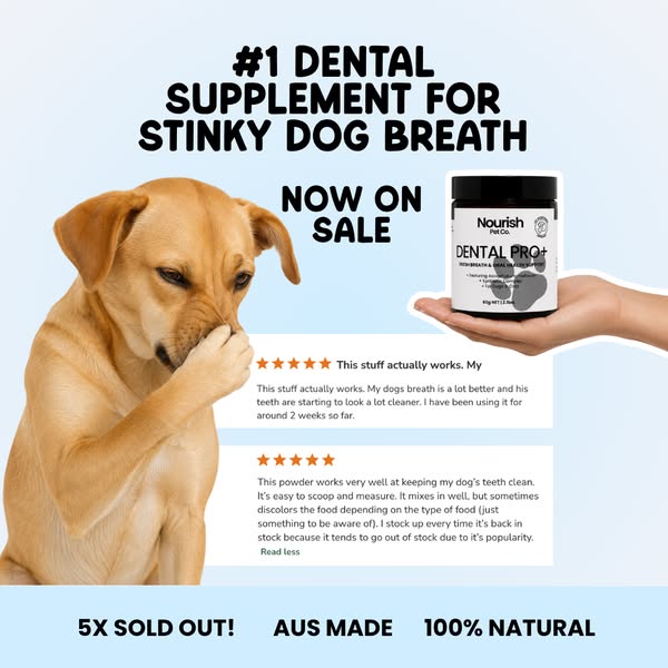 Nourish Pet Co. ad