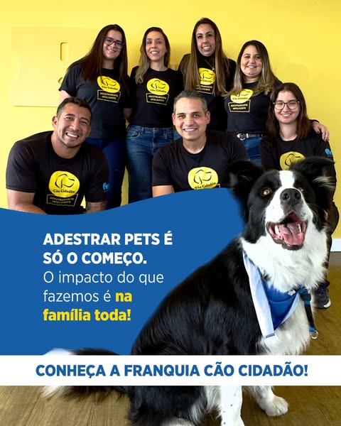 This ad shows a team of people standing in front of a yellow wall, with a dog superimposed on a blue block in the foregr