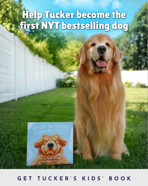 Tucker Budzyn ad