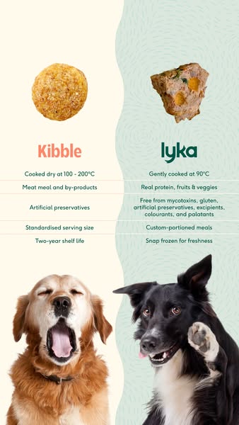 Lyka Pet Food ad