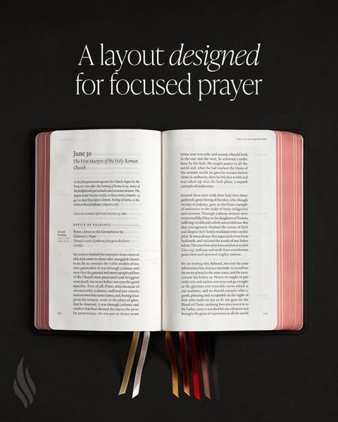 Bishop Robert Barron ad