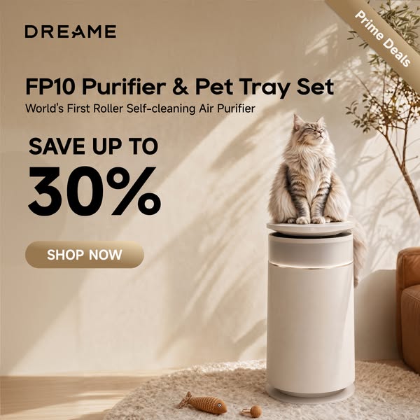 DreameUS ad