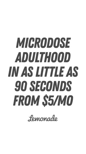 This text-based ad for Lemonade promotes insurance as a way to manage 'adulthood' in short, affordable bursts, w