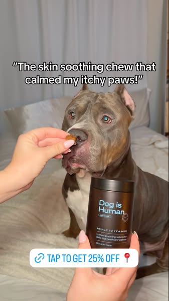 Dog is Human ad