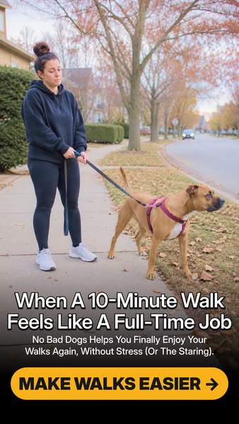 Tom Davis Dog Training ad