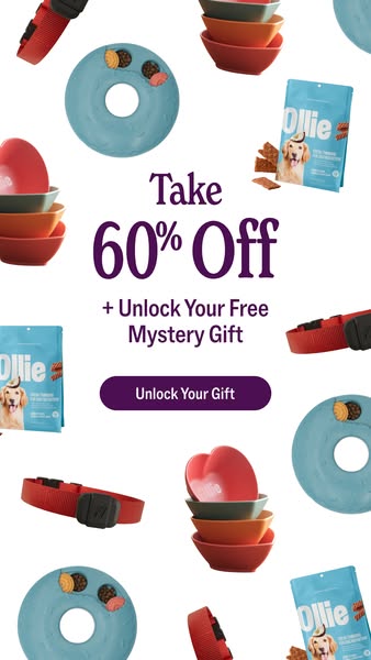 This ad for Ollie features a variety of dog products, including food, bowls, a chew toy and a collar. The ad highlights 