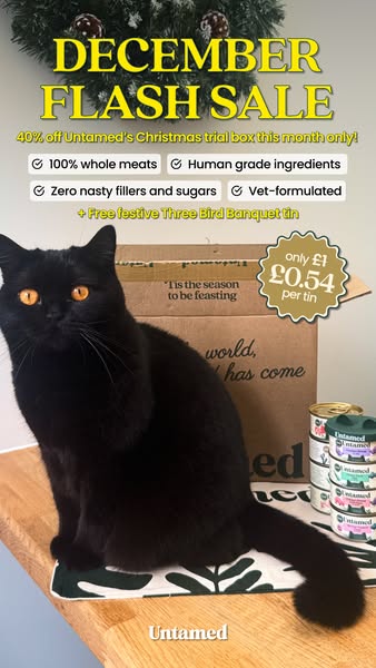 Clementine Meows ad
