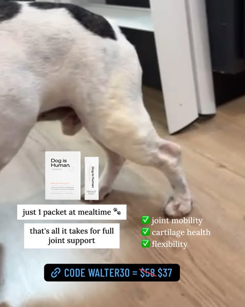 Walter Geoffrey ad