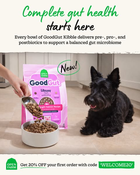 This image ad by Open Farm promotes its GoodGut Kibble with a focus on complete gut health and postbiotics. It features