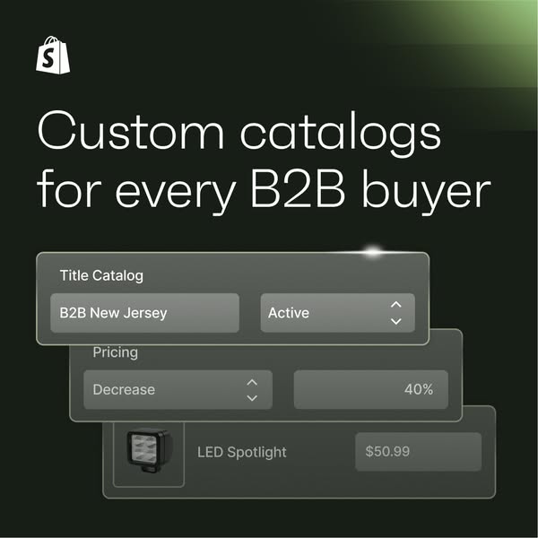 This ad promotes Shopify's custom catalog feature for B2B buyers. The ad shows a preview of the different features t