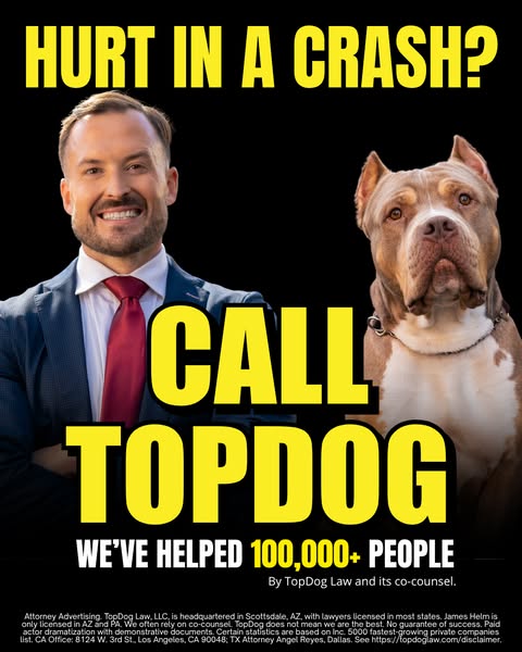 This image ad for TopDog Law uses a lawyer in a suit and a bulldog to appeal to people who have been hurt in a crash. It