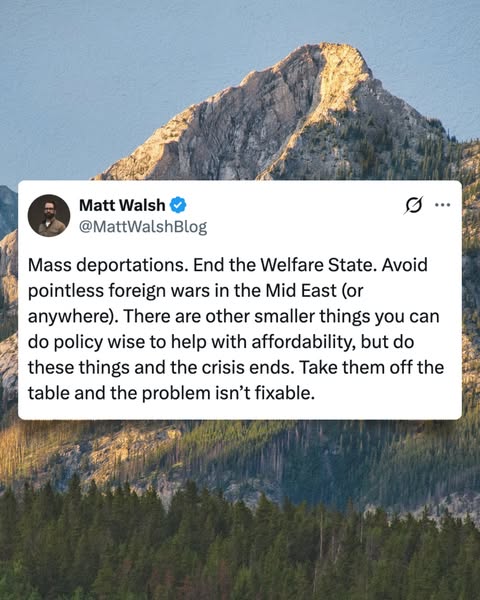Matt Walsh ad