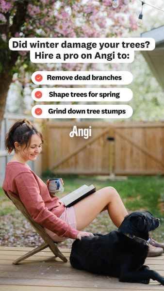 An ad for Angi features a woman relaxing outside with her dog and a book, while highlighting how Angi can help with tree