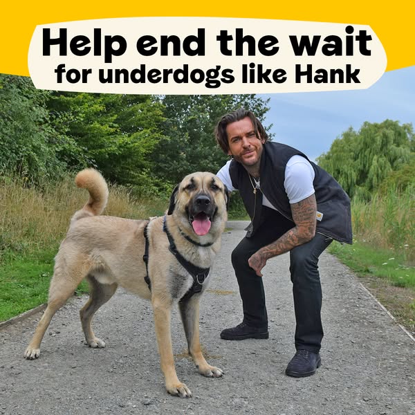 Pete Wicks ad