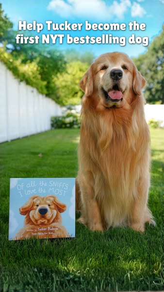 Tucker Budzyn ad