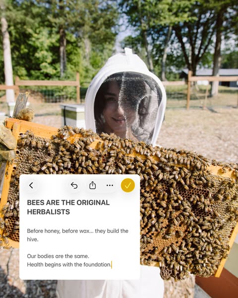 The Honeystead ad