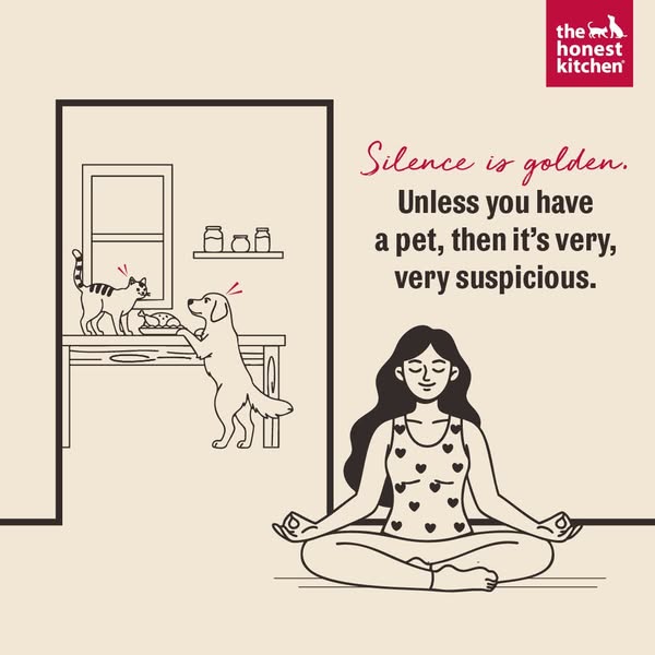 The ad features a line-art style illustration depicting a woman meditating with a dog and a cat mischievously eating off
