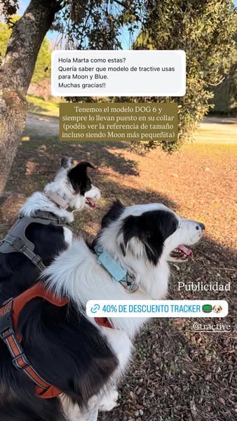 Marta the Dog Mom ad