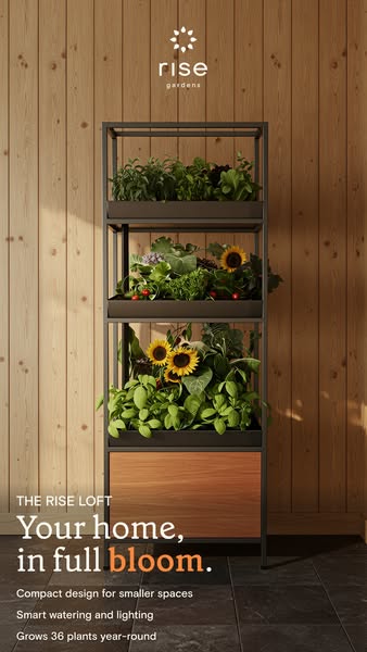 Rise Gardens ad