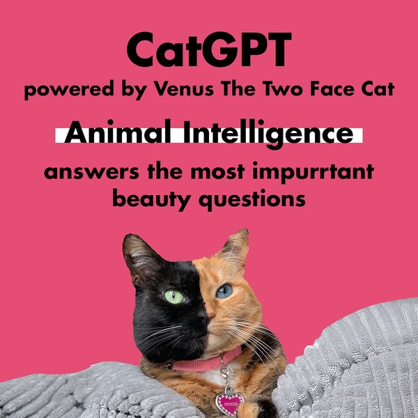Venus the Two Face Cat ad