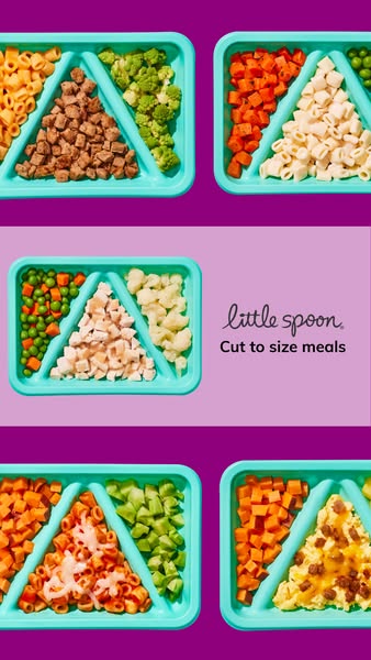 This image ad for Little Spoon features a series of light blue divided food trays, each containing different meals cut i