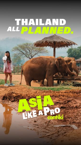 This image ad for Contiki promotes trips to Thailand. The image shows a woman next to elephants in an outdoor environmen