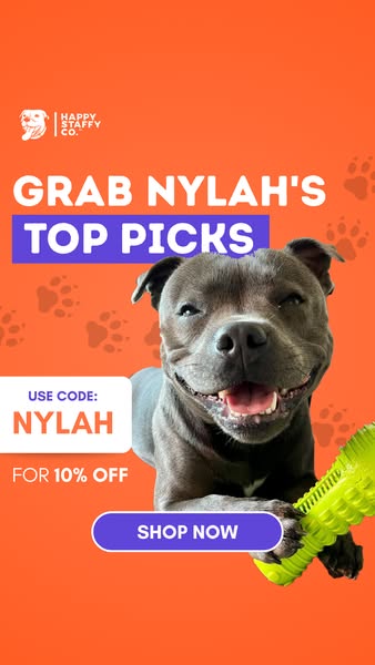 Nylah the blue Staffy ad