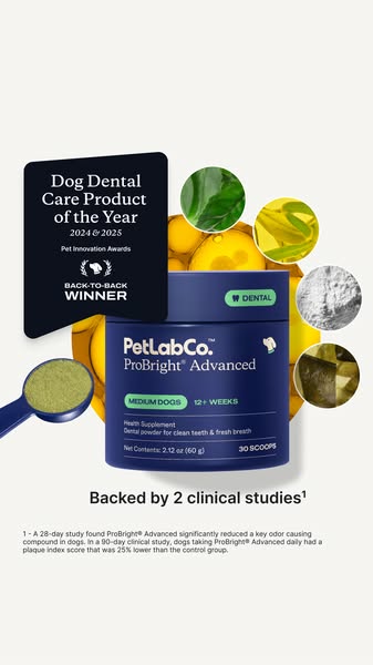 An image ad promoting PetLab Co.'s ProBright Advanced dental powder for dogs. The ad highlights the product's aw