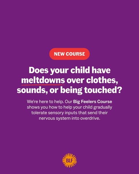 This ad is for a course that helps parents deal with children who have meltdowns over clothes, sounds, or being touched.