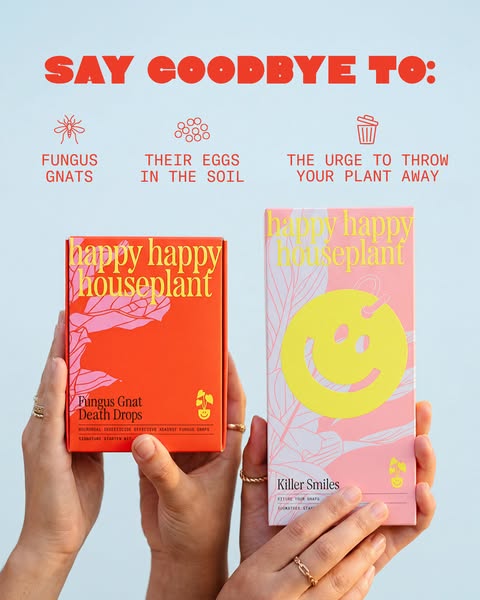 Happy Happy Houseplant ad