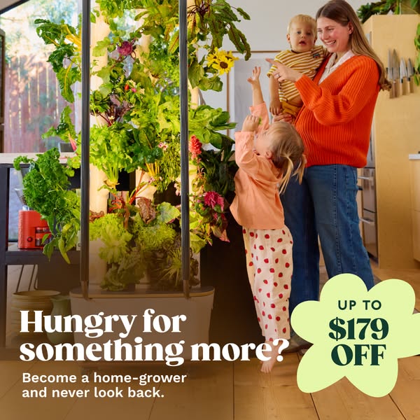 The image shows a family growing food in their home with a vertical garden. The ad offers up to $179 off.