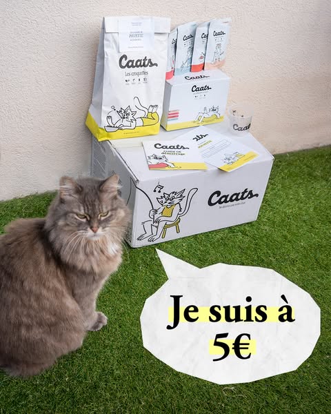 The ad showcases Caats cat food products with a discount offer in a playful, cat-centric setting.
