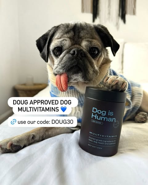Doug The Pug ad