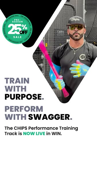 CHIPSPerformance ad
