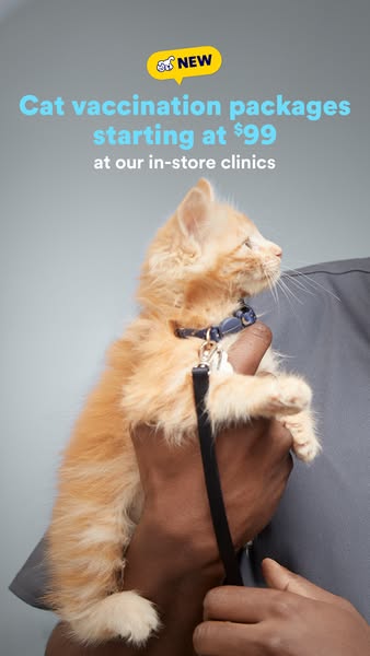 The image ad promotes cat vaccination packages starting at $99 at in-store clinics. The ad features a kitten being held 