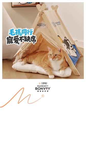 This ad promotes Marriott Bonvoy by showcasing a branded pet tent and cat to communicate that pets are welcome.