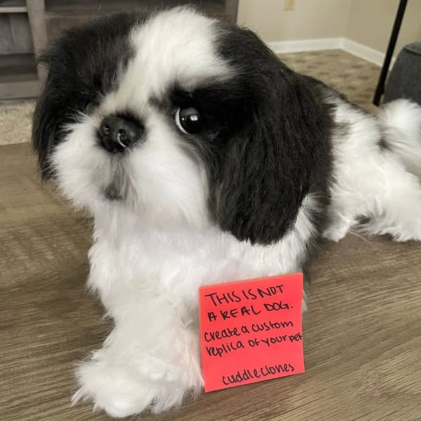 Image ad for Cuddle Clones featuring a plush dog replica with a handwritten note that it is not a real dog and promotes 