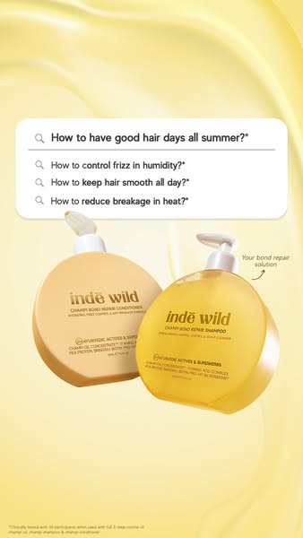 This ad promotes Inde Wild's hair repair products by presenting common hair concerns as search queries and positioni