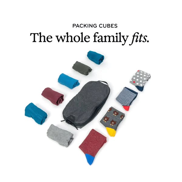 This ad highlights the packing cubes and suggests that the whole family's clothes fits in the bag.