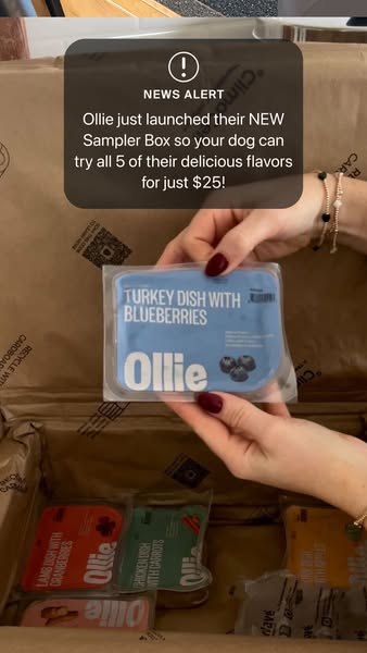 This image ad showcases the Ollie brand's new sampler box, offering a variety of delicious flavors for dogs at an af