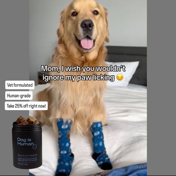 Dog is Human ad