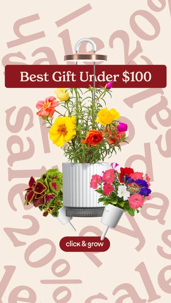 This ad promotes Click & Grow's indoor gardening system as the best gift under $100. The image features a Click 