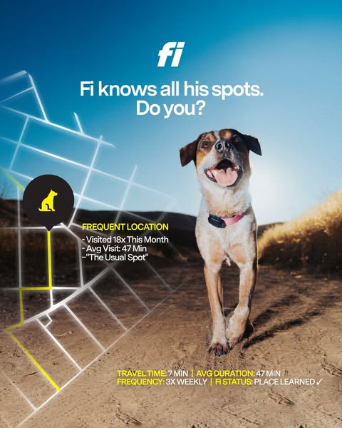 This ad for Fi pet trackers is targeting pet owners who want to keep an eye on their dog's activity and location. Th