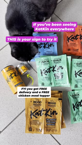 This ad features various KatKin products including Nibbles, Mooo, and Quack flavors with a free delivery and chicken mea
