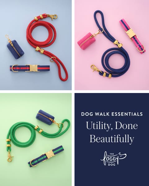 This ad showcases leashes, collars, and waste bag holders in different colors.