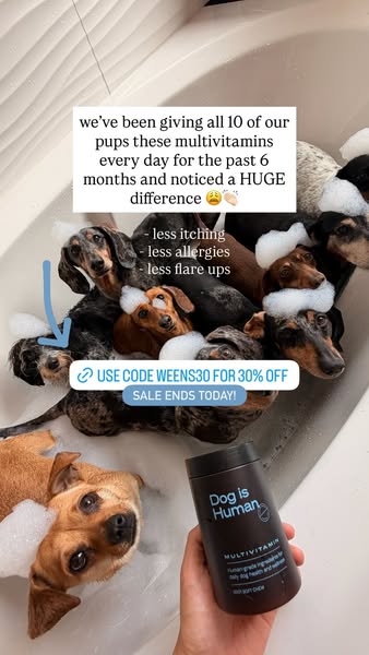 The Weens ad