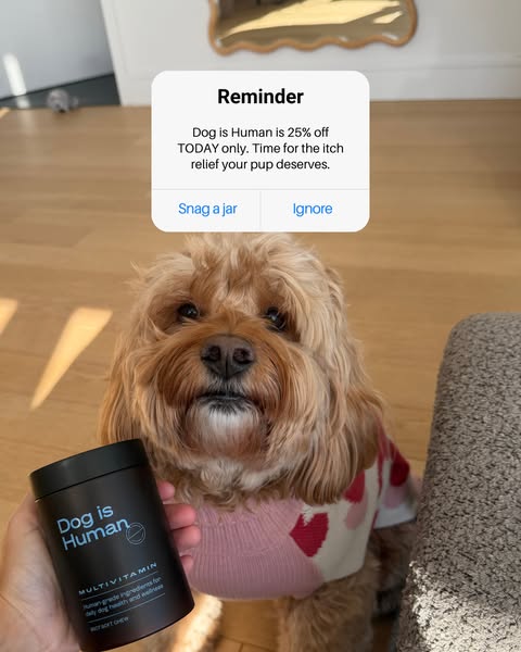Dog is Human ad