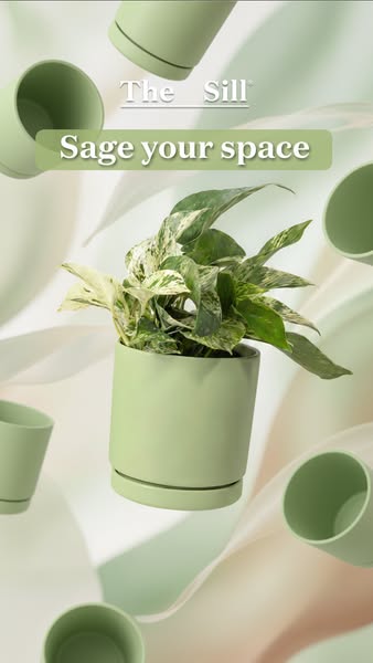 This ad promotes The Sill, a brand that offers plants in stylish planters, encouraging customers to enhance their living